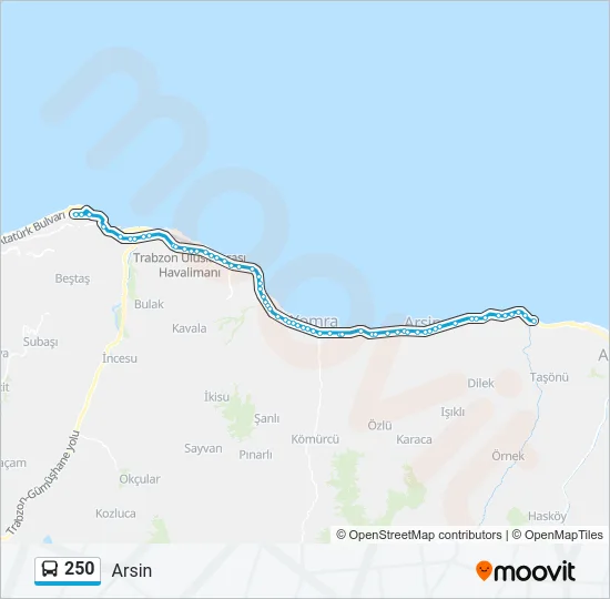250 Bus Line Map