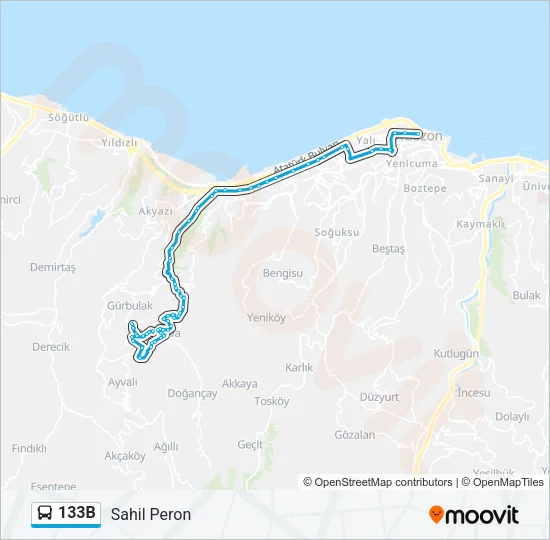 133B Bus Line Map