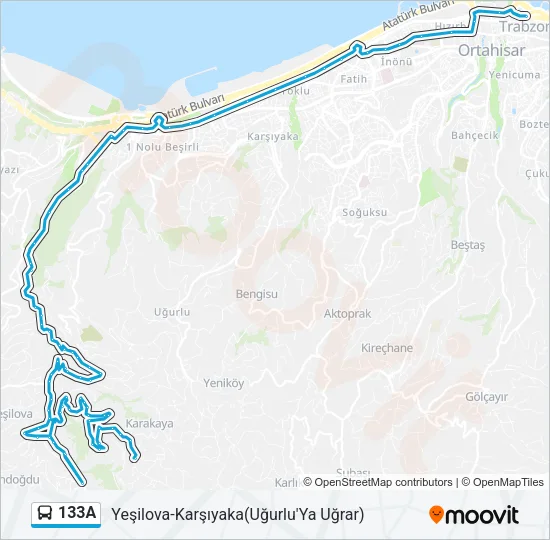 133A Bus Line Map