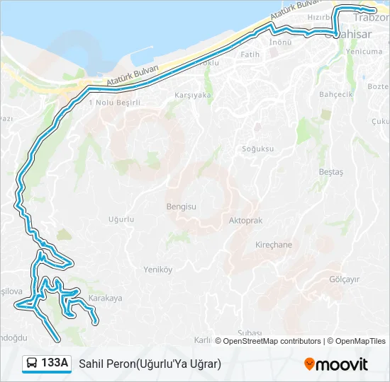 133A Bus Line Map