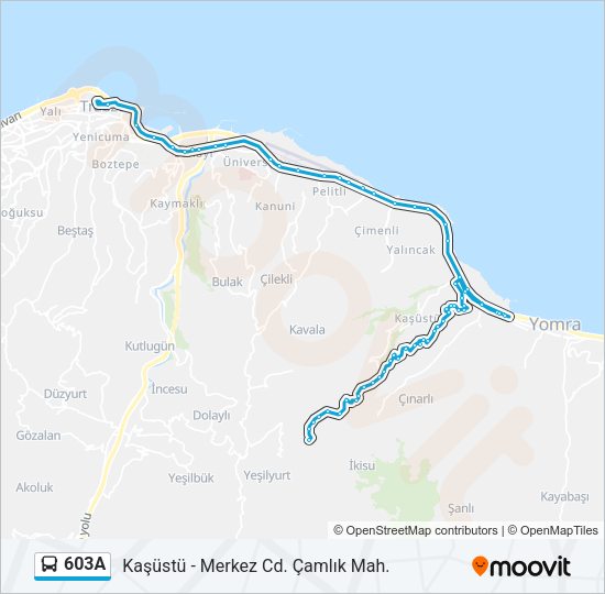 603A Bus Line Map