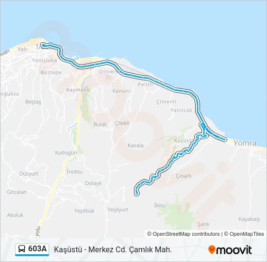 603A Bus Line Map
