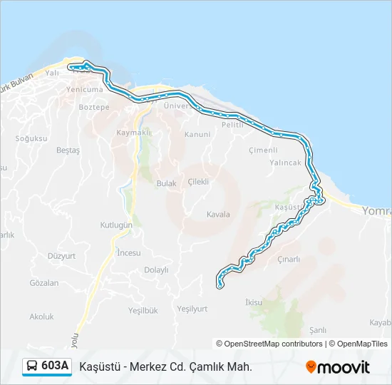 603A Bus Line Map