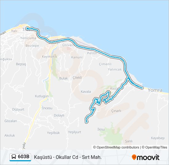 603B Bus Line Map