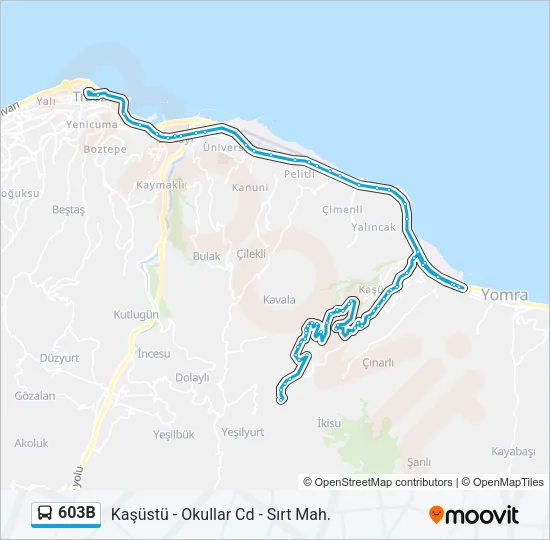 603B Bus Line Map