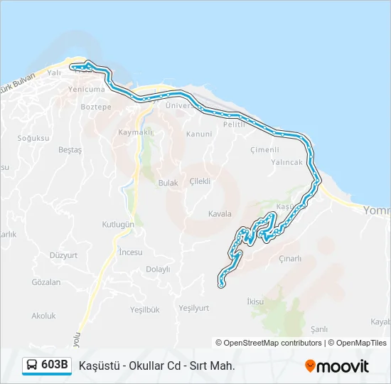 603B Bus Line Map