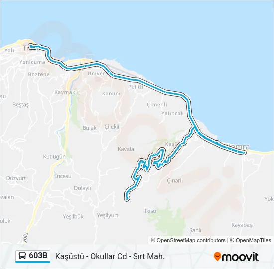 603B Bus Line Map