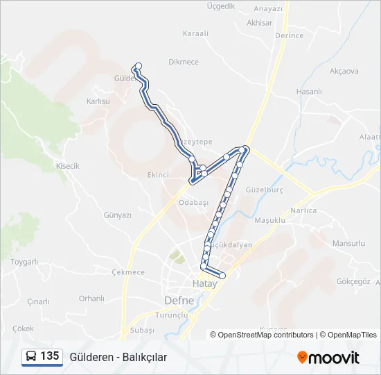 135 Bus Line Map