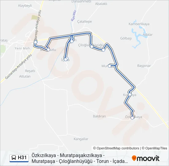 H31 Bus Line Map