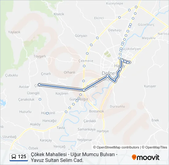 125 Bus Line Map