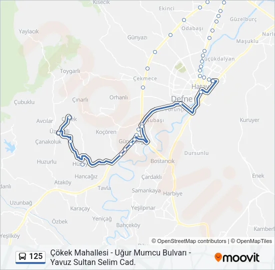 125 Bus Line Map