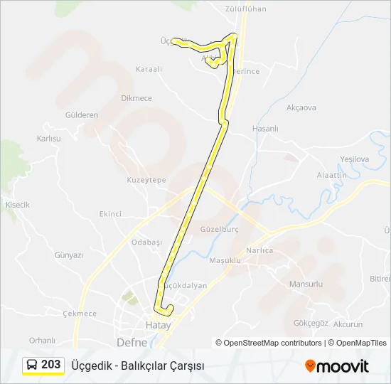 203 Bus Line Map