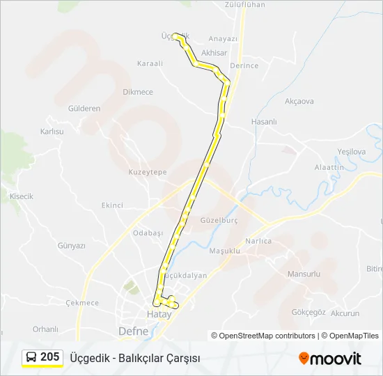 205 Bus Line Map