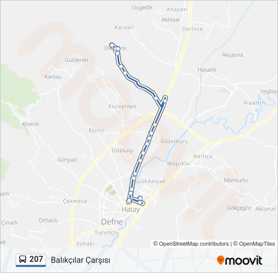 207 Bus Line Map