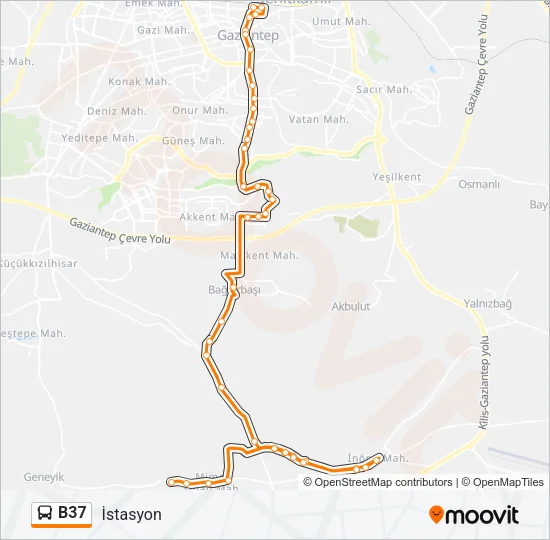 B37 Bus Line Map