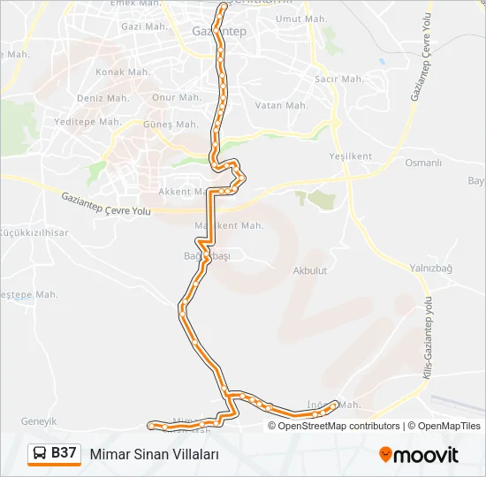 B37 Bus Line Map