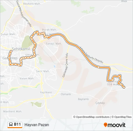 B11 Bus Line Map