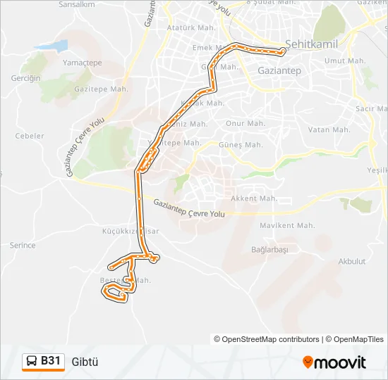 B31 Bus Line Map