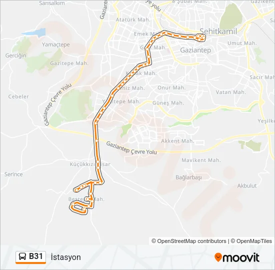B31 Bus Line Map