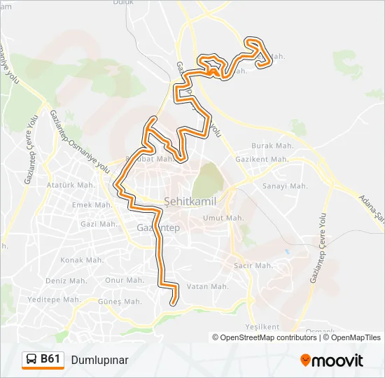 B61 Bus Line Map