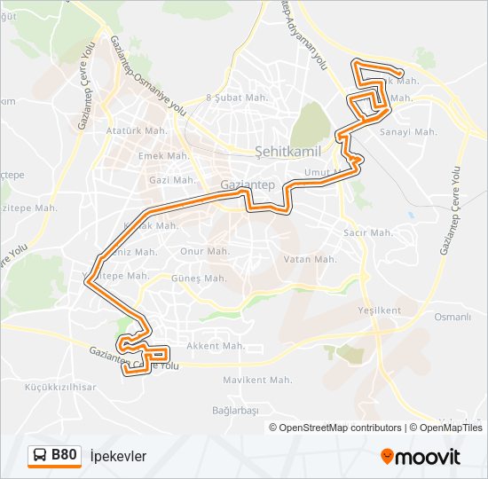 B80 otobüs Hattı Haritası