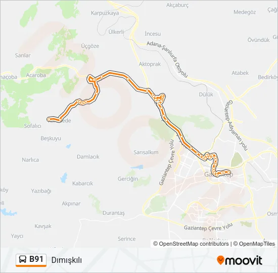 B91 Bus Line Map