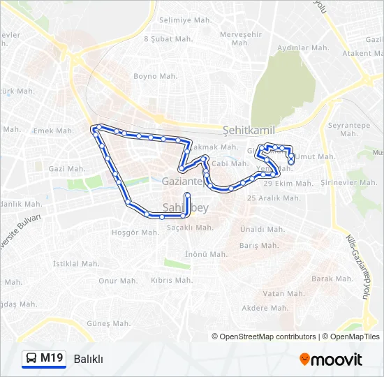 M19 Bus Line Map
