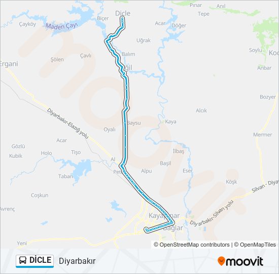 DİCLE bus Line Map