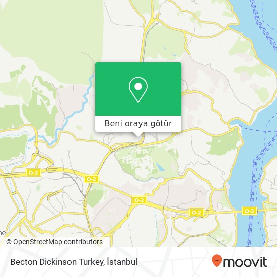 Becton Dickinson Turkey harita