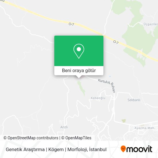 Genetik Araştırma | Kögem | Morfoloji harita