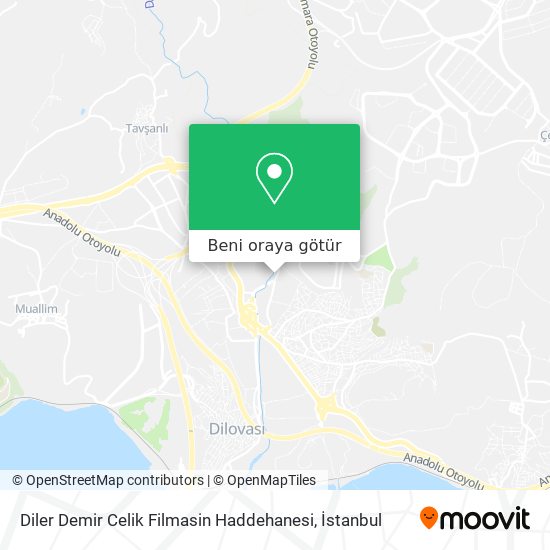 Diler Demir Celik Filmasin Haddehanesi harita