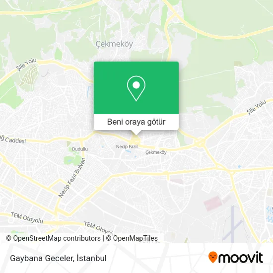 Gaybana Geceler harita