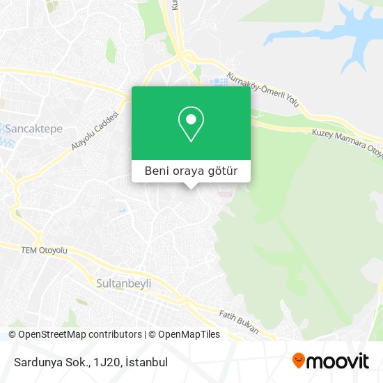 Sardunya Sok., 1J20 harita