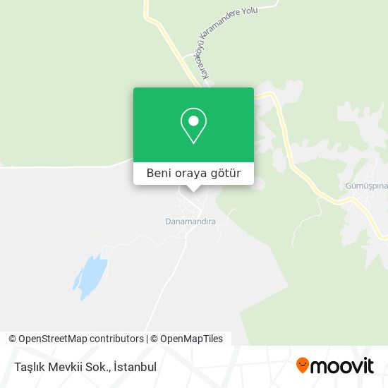 Taşlık Mevkii Sok. harita