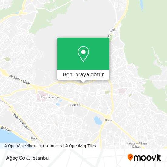Ağaç Sok. harita