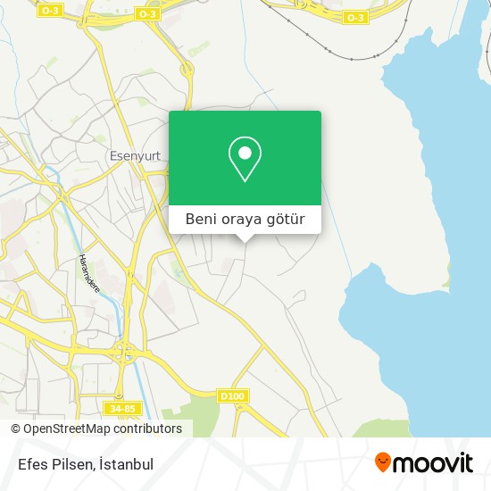 Efes Pilsen harita