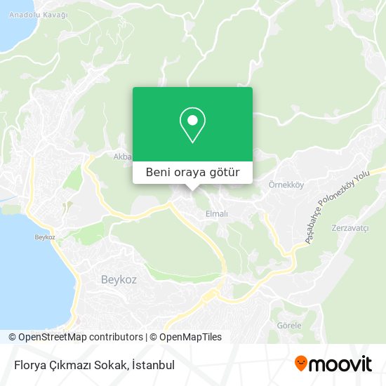 Florya Çıkmazı Sokak harita