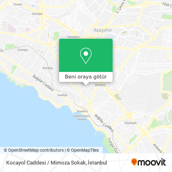 Kocayol Caddesi / Mimoza Sokak harita