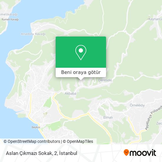 Aslan Çıkmazı Sokak, 2 harita
