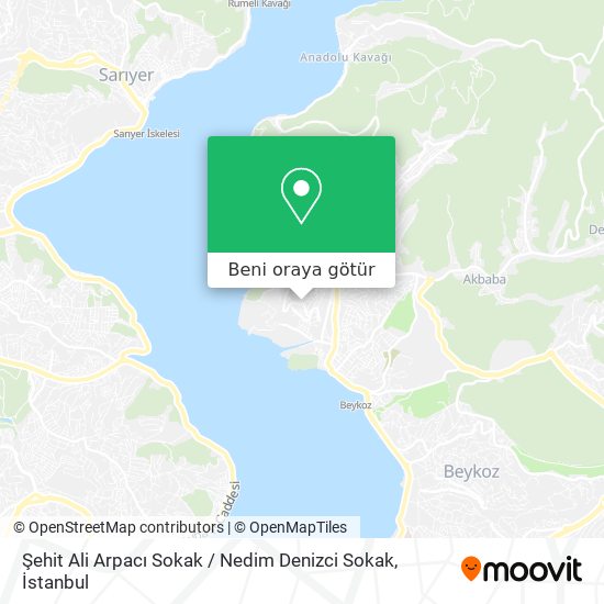 Şehit Ali Arpacı Sokak / Nedim Denizci Sokak harita