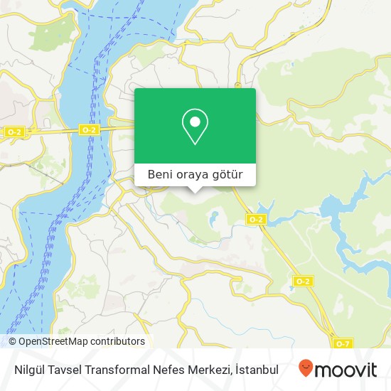 Nilgül Tavsel Transformal Nefes Merkezi harita