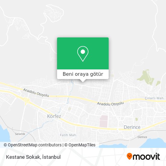 Kestane Sokak harita