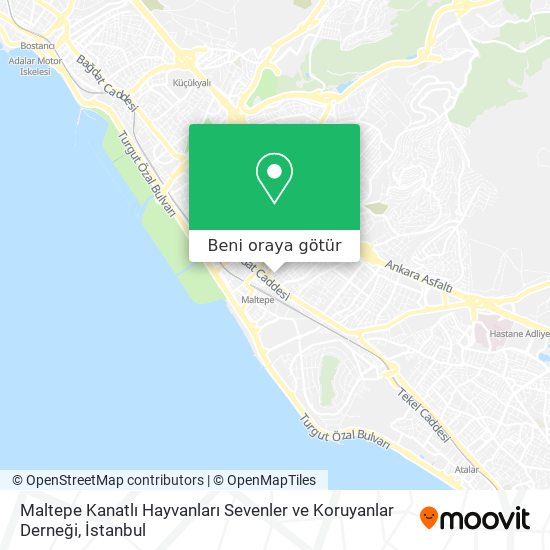 Maltepe Kanatlı Hayvanları Sevenler ve Koruyanlar Derneği harita