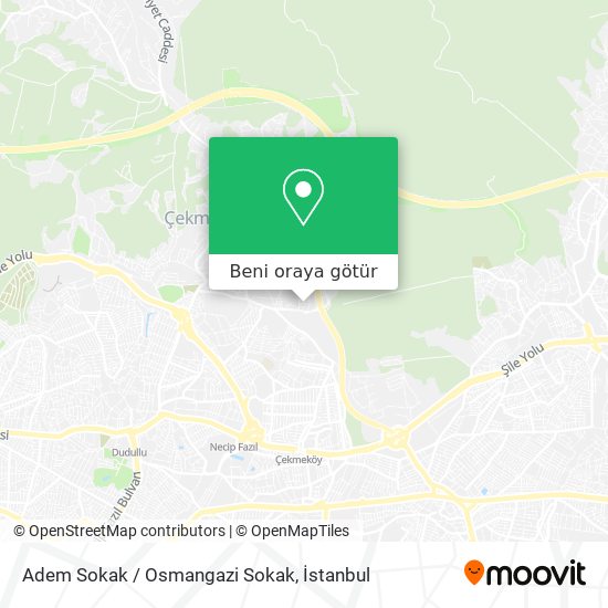 Adem Sokak / Osmangazi Sokak harita