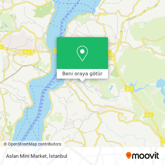 Aslan Mini Market harita
