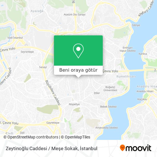 Zeytinoğlu Caddesi / Meşe Sokak harita