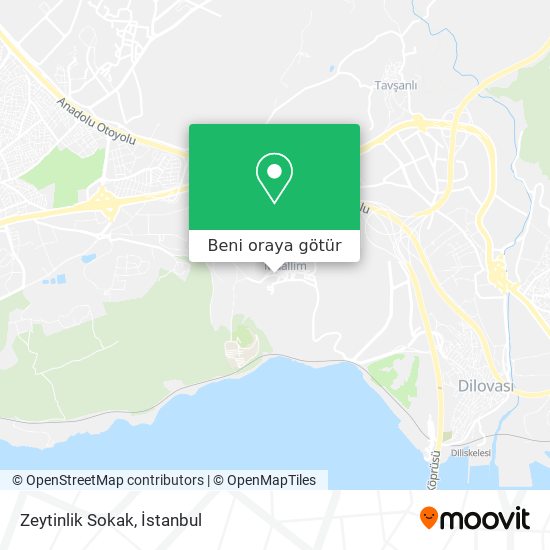 Zeytinlik Sokak harita