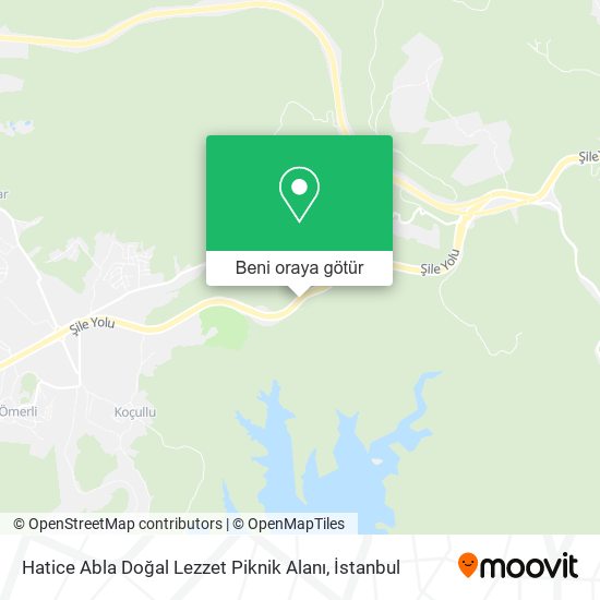 Hatice Abla Doğal Lezzet Piknik Alanı harita