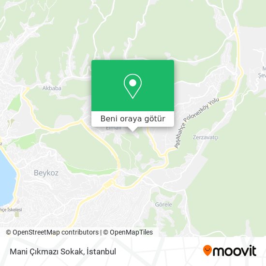 Mani Çıkmazı Sokak harita