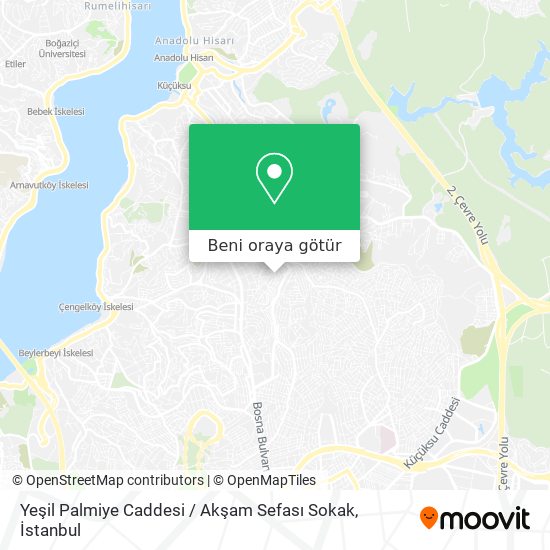 Yeşil Palmiye Caddesi / Akşam Sefası Sokak harita